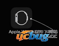 手机QQ怎么在苹果Apple Watch在线显示？